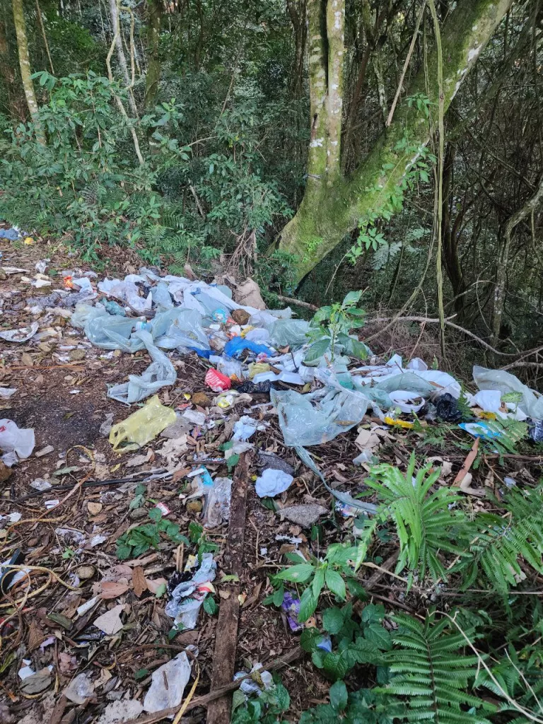 Requerimento cobra providências em área com entulho