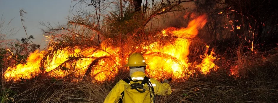 Incêndios criminosos são alvos de ações de prevenção em Minas Gerais