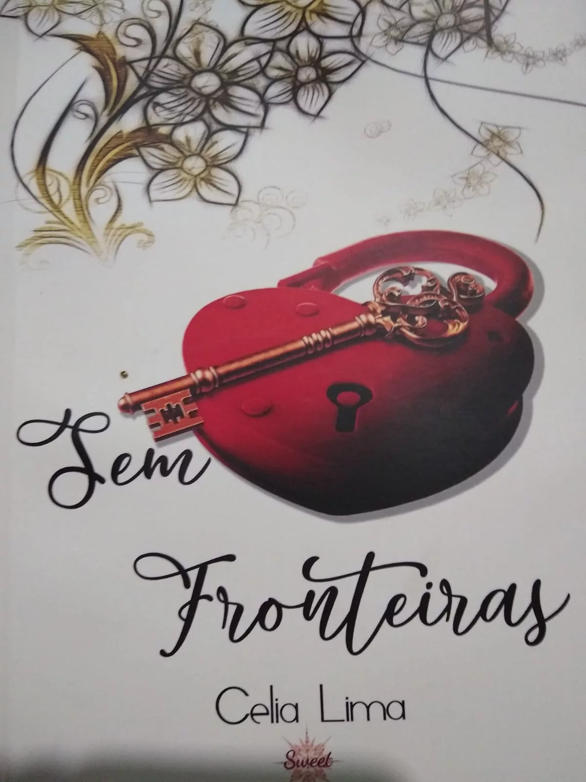 “Sem Fronteiras”: o amor que nasce entre os preconceitos sociais