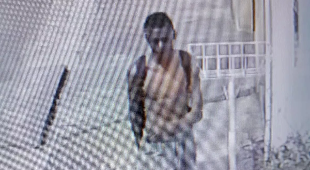 Câmeras flagram homem furtando roçadeira