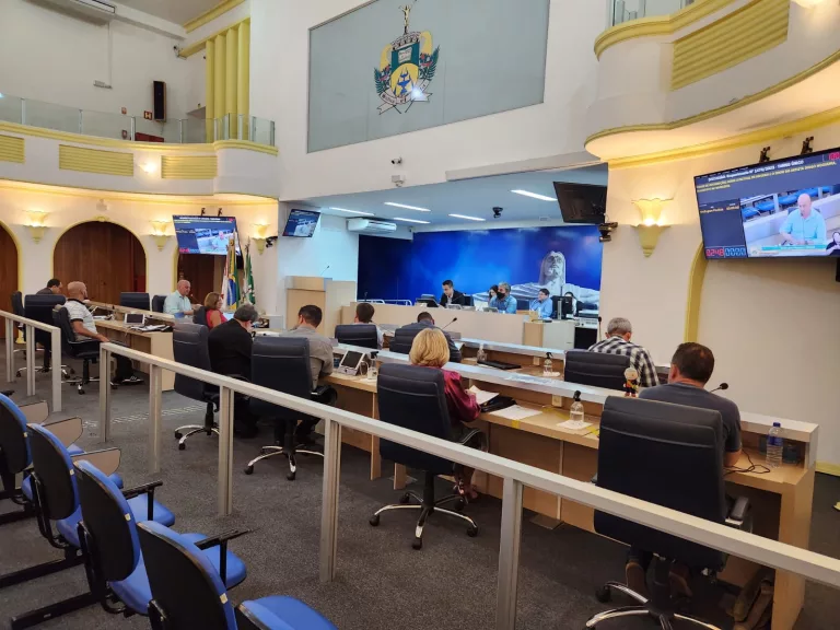 Câmara realiza audiência sobre “O direito à educação das crianças do município”