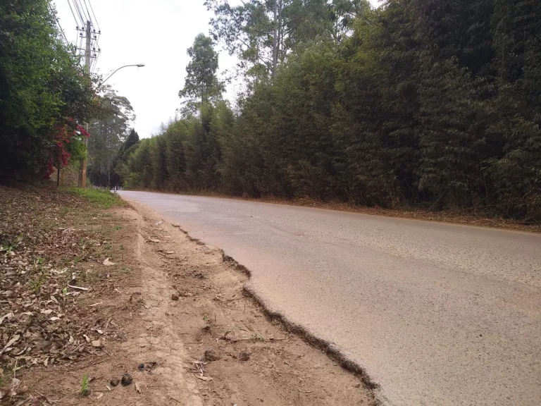 Situação da avenida Celanese é questionada em requerimento legislativo