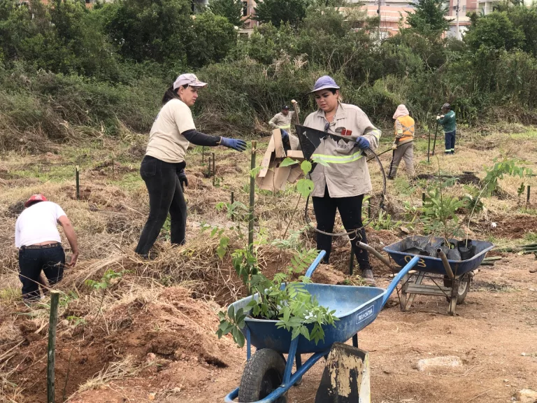 Área degradada na zona sul é recuperada com plantio de mais de 2 mil árvores