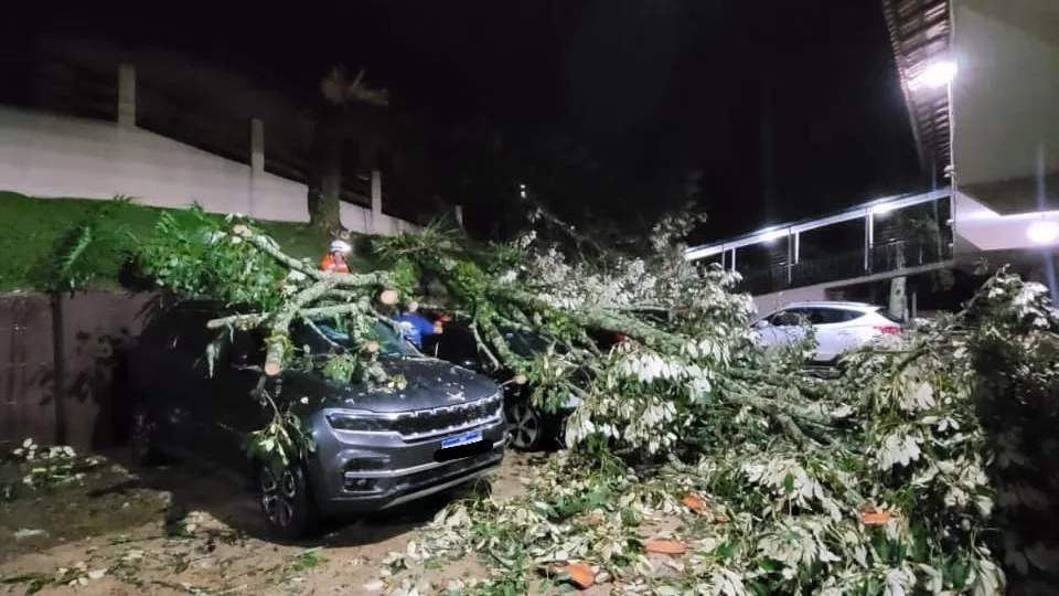 Chuva derruba árvores e causas estragos em Poços
