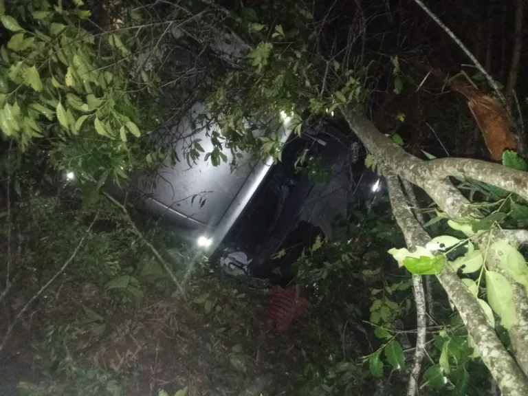 Caminhão capota na BR-146 e duas pessoas ficam feridas
