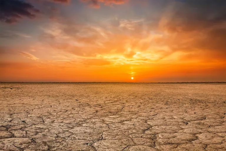 Após calor recorde em setembro, 2023 pode ser o ano mais quente do planeta
