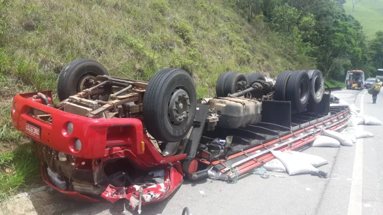 Motorista de caminhão morre em acidente na BR-459