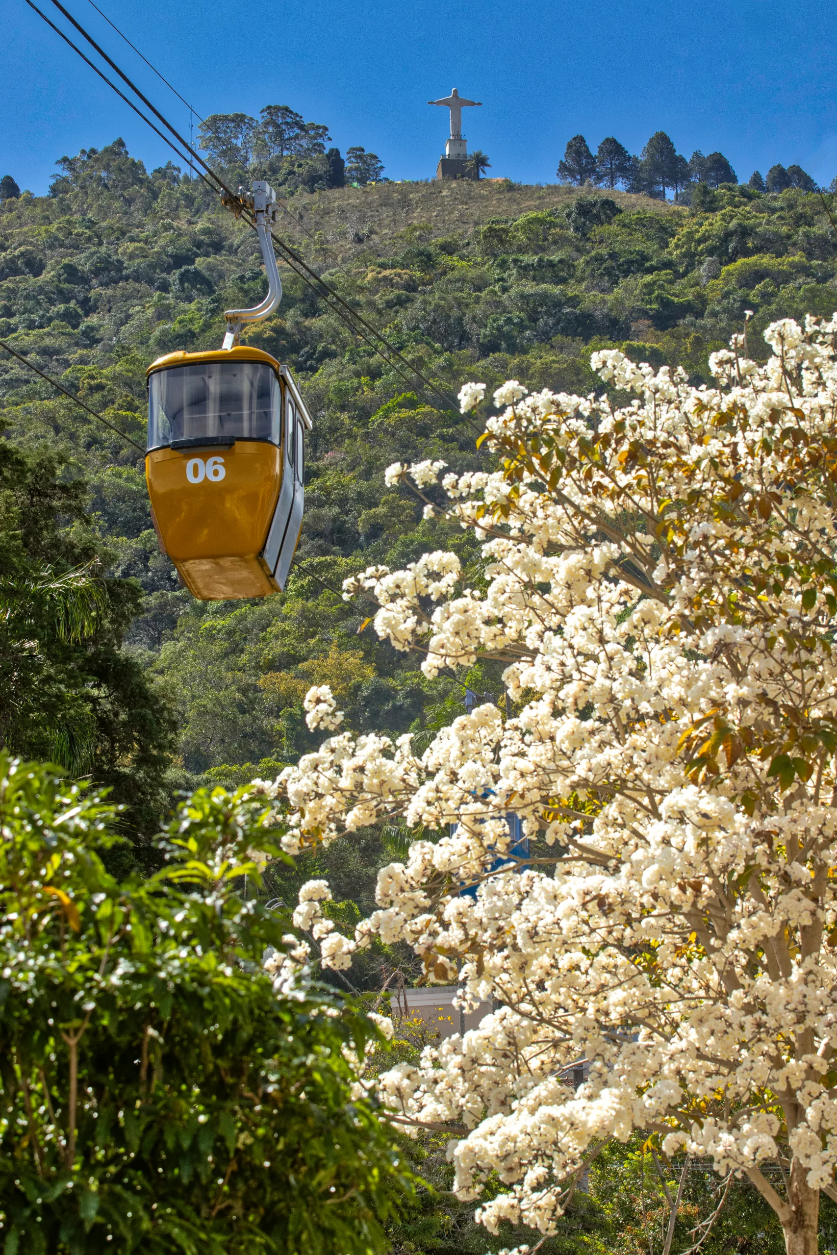 Exposição ‘Natureza Urbana’ inicia circulação nesta quinta-feira 