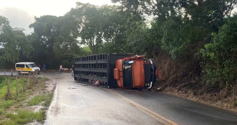 Caminhão tomba após barra de direção quebrar