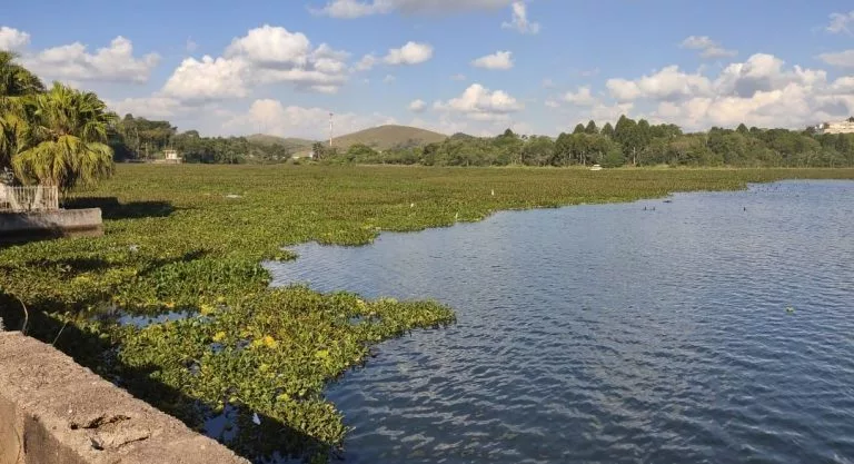 Relatório parcial aponta quantidade elevada de Fósforo na represa Bortolan