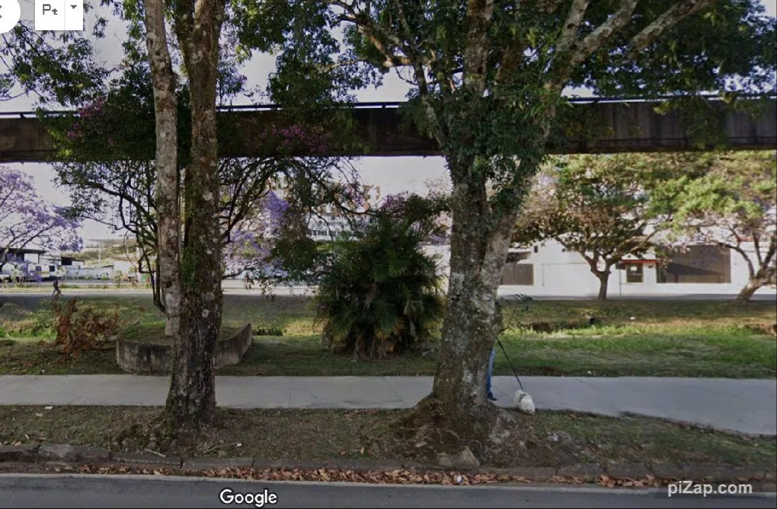 Nova passarela na Mansur Frayha deve ficar pronta em 90 dias