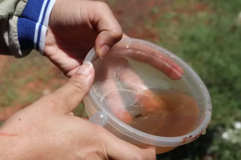 Poços tem registro de 31 casos suspeitos de dengue e três de chikungunya