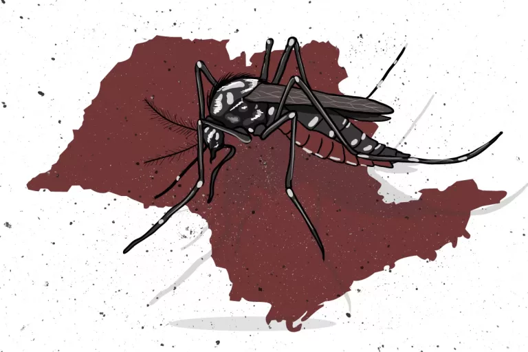 Estado de São Paulo decreta emergência para dengue