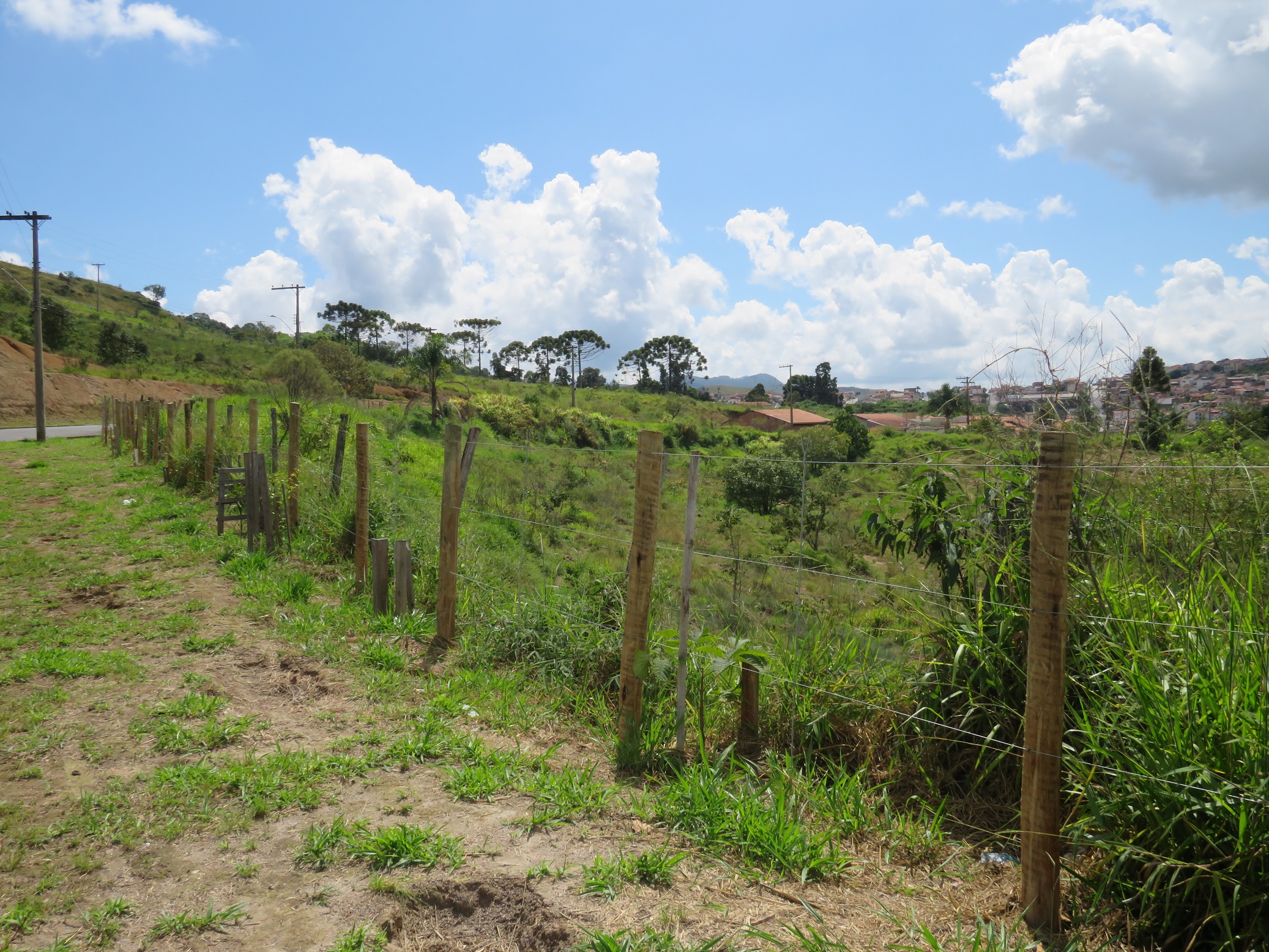 Bairro Santa Tereza recebe projeto de proteção ambiental