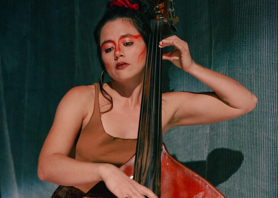 Roda de conversa “Mulher no Contrabaixo: força e masculinidade” acontece na próxima semana