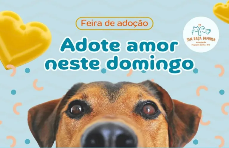 Feira de Adoção Pet no Partage Poços neste domingo