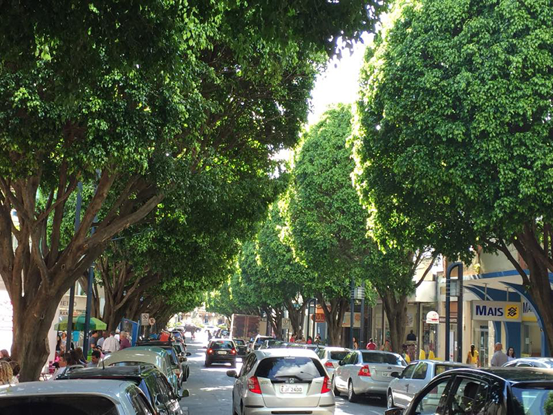 Horário estendido do comércio inicia na próxima semana