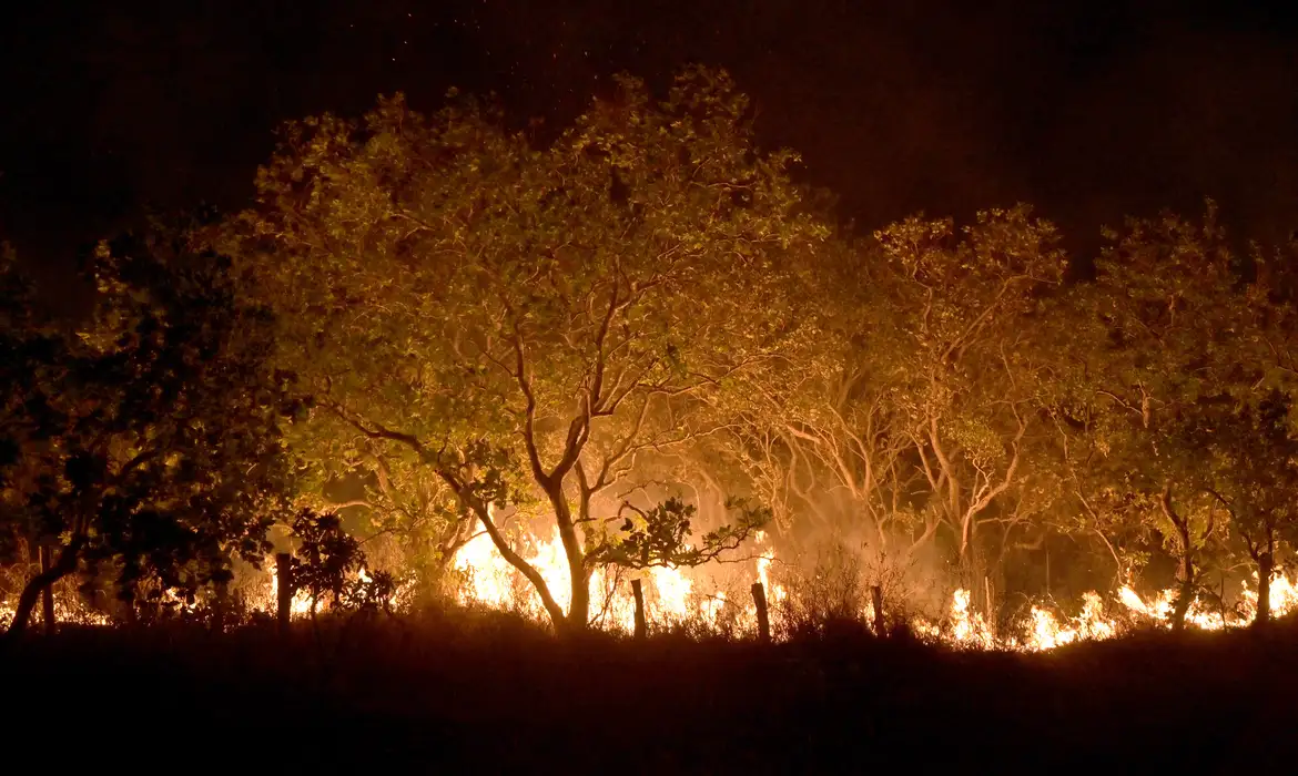 Chuva no Sul, fogo no Norte: Brasil no meio das mudanças climáticas