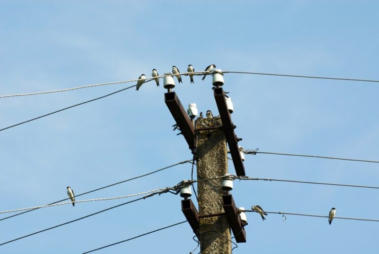 Confira os desligamentos de energia elétrica da próxima semana