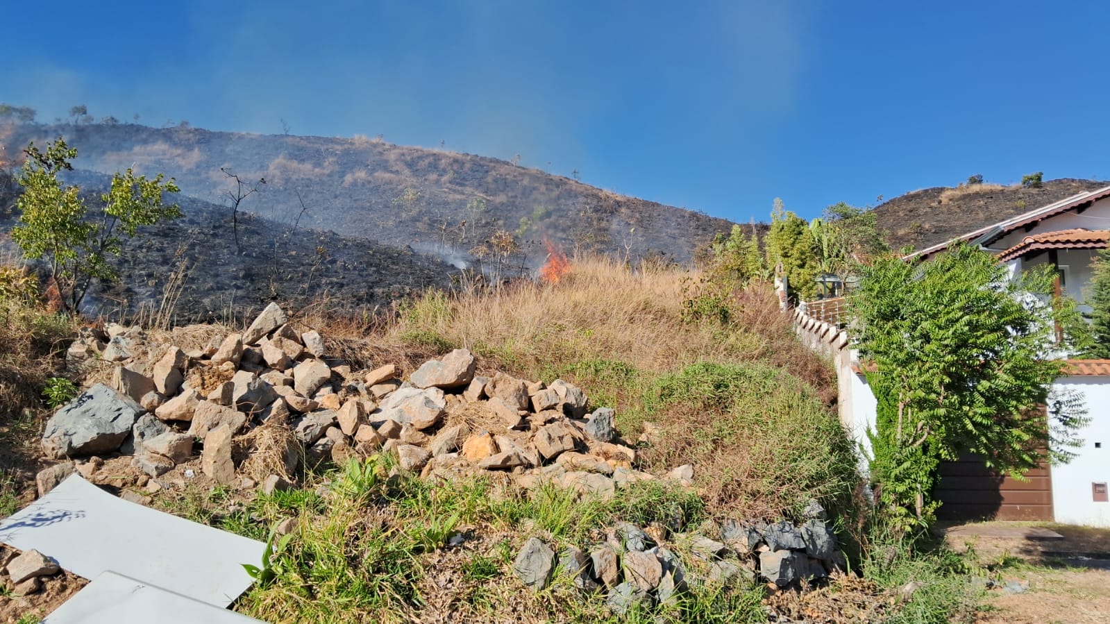 incêndio, vegetação