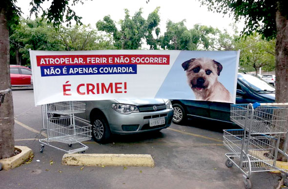 Indiciado por maus-tratos diz que não socorreu animal por achar que era cachorro de rua