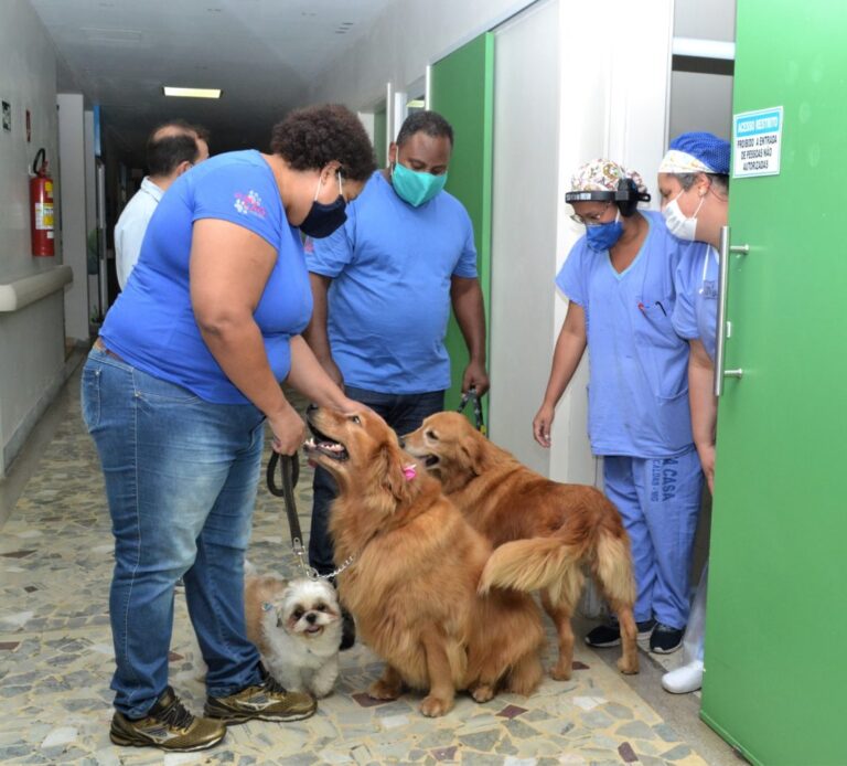 Projeto aprovado pela Câmara cria o Programa “Cãoterapia”