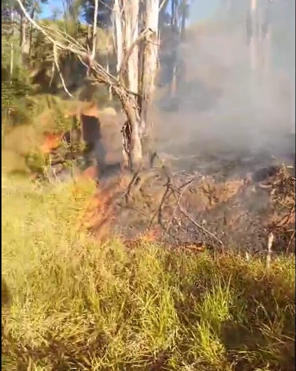 Bombeiros combatem incêndio na rua Beira-Linha