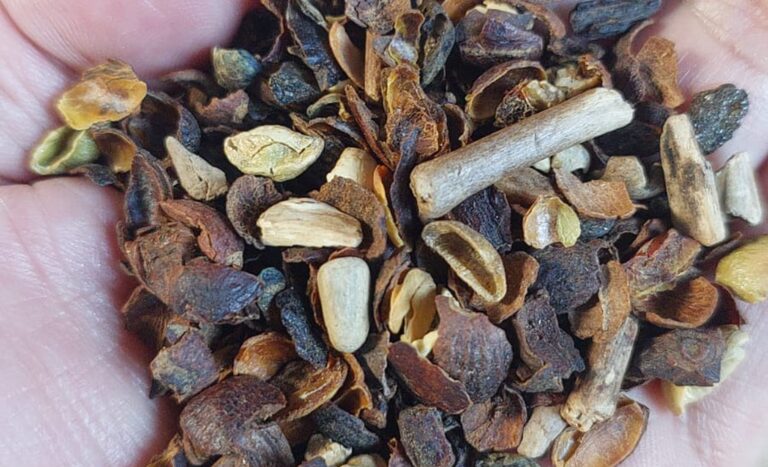 Empresa do sul de Minas tem lote de café na lista de impróprios para o consumo