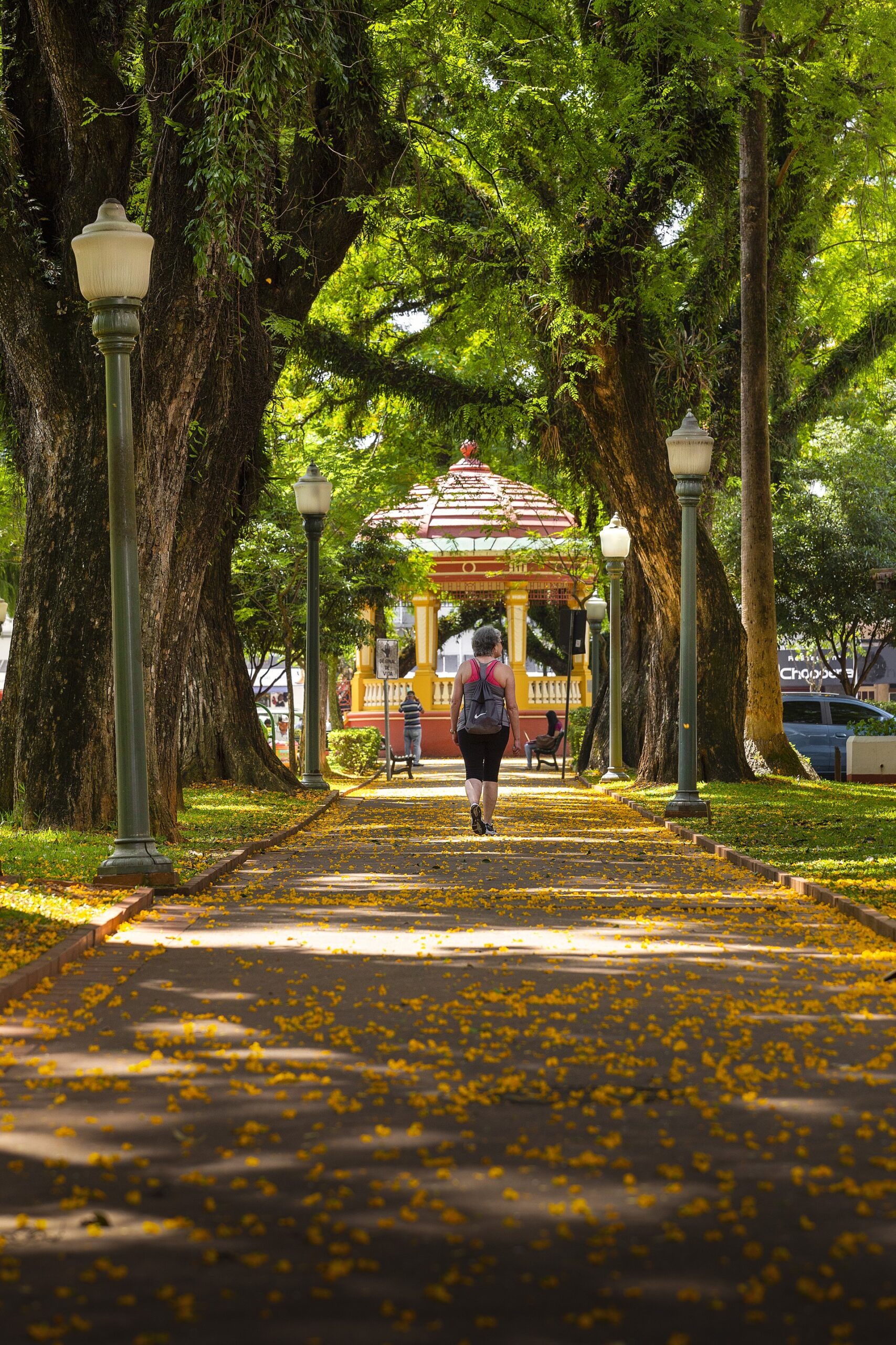 Exposição fotográfica ‘Natureza Urbana’ pode ser visitada até domingo