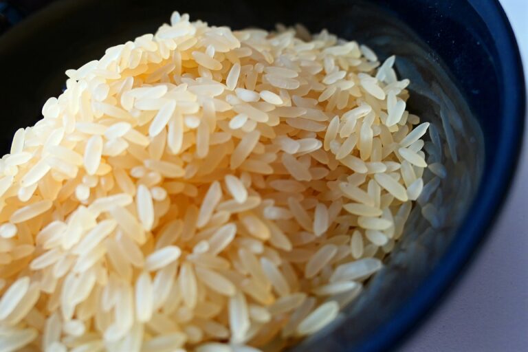 ARROZ | Governo, indústria e produtor fazem acordo para monitorar preço