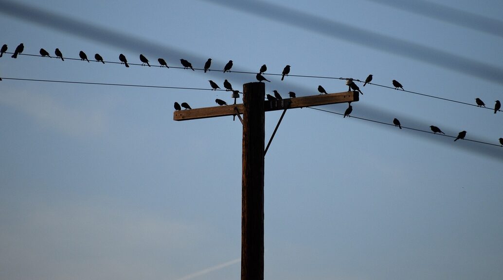 Confira onde haverá desligamentos de energia nesta terça-feira