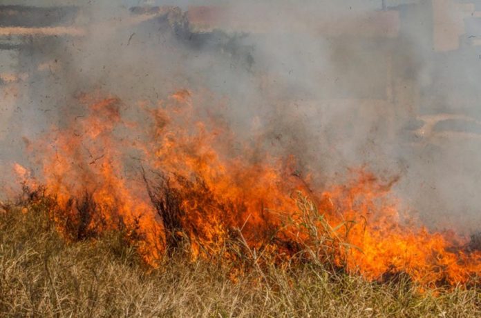 Incêndio alcança 20 mil m² de vegetação na zona sul de Poços