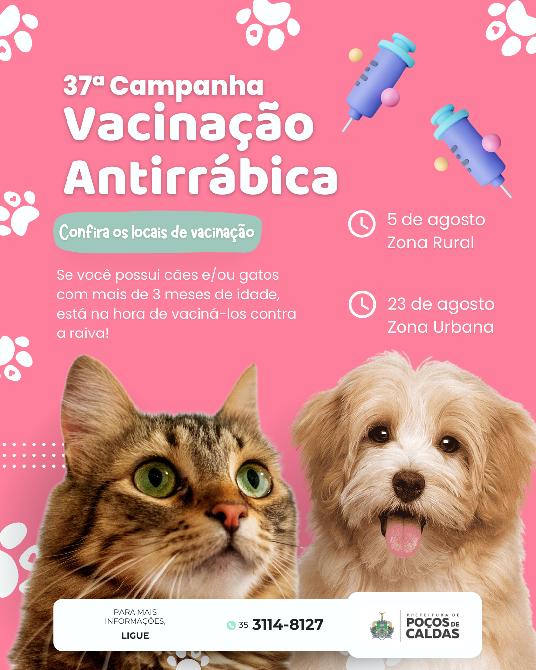 Confira onde tem vacinação antirrábica neste sábado