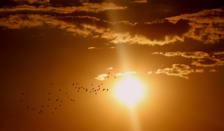 Sudeste poderá ter nova onda de calor no final de agosto