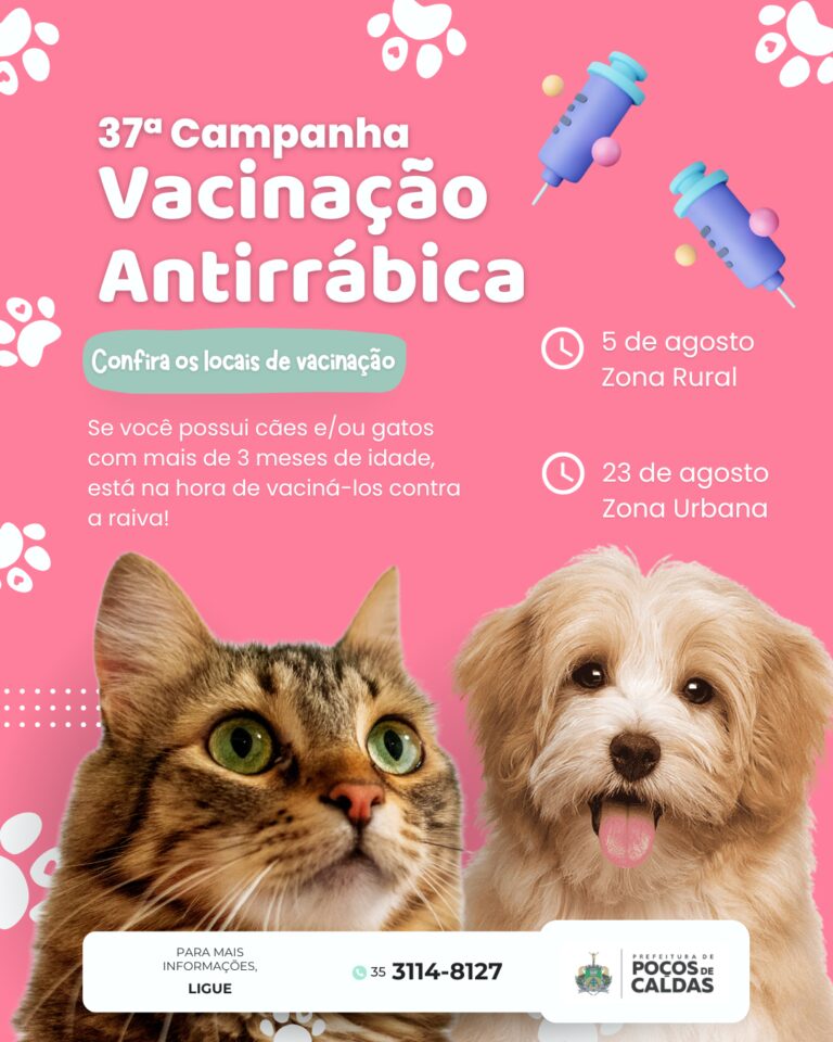 Campanha antirrábica na zona sul neste sábado: confira locais e horários