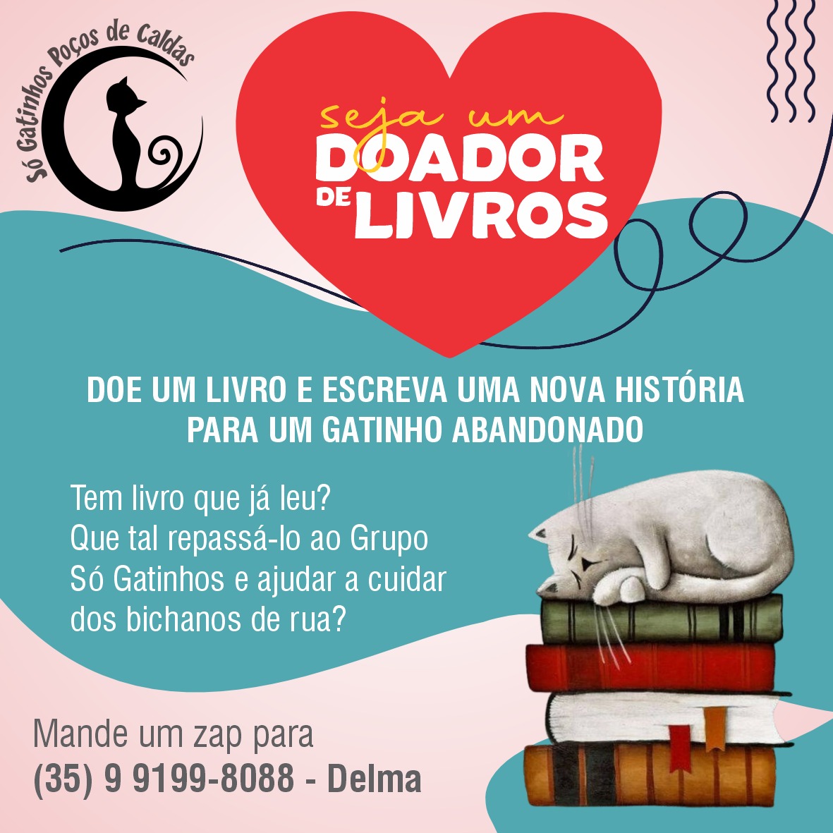 Grupo Só Gatinhos faz campanha para arrecadar livros usados