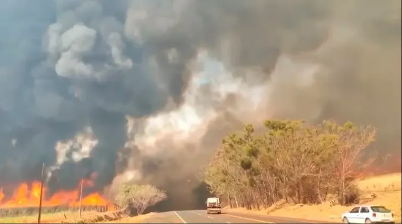 Fogo e fumaça em São Paulo: 30 municípios estão em estado de alerta