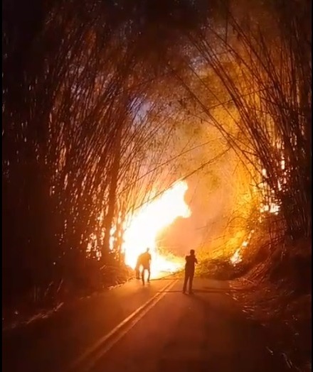 Incêndio atinge área de 10 hectares entre Poços e Palmeiral