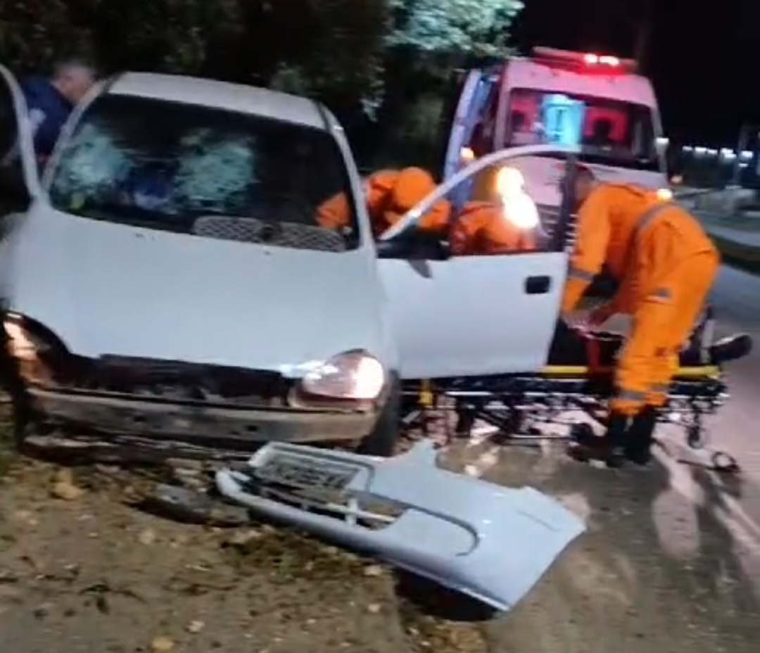 Carro bateu em um barranco (foto: Redes Sociais)