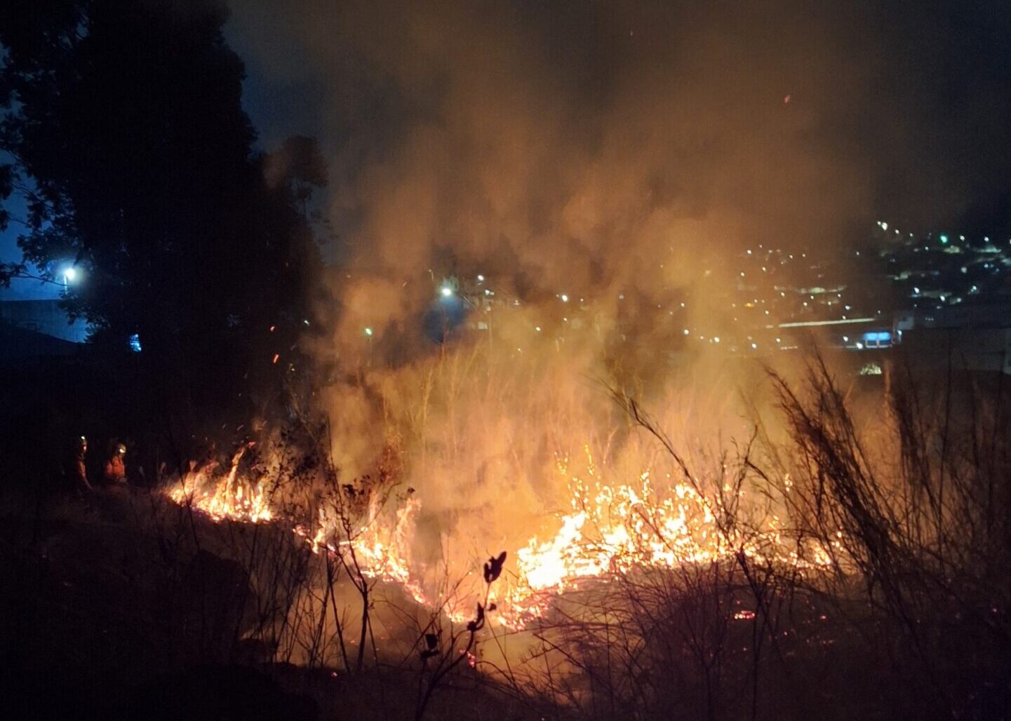 Incêndio em vegetação mobiliza bombeiros durante a madrugada