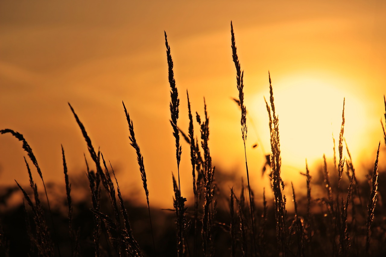 Primeira semana da primavera sob alerta de onda de calor; incluindo o Sudeste