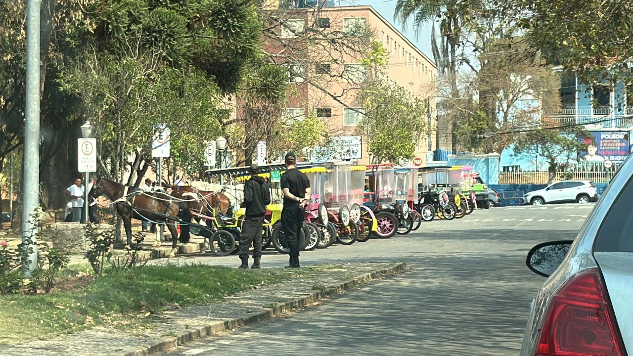 Charretistas desobedecem decreto do prefeito e podem ter licenças cassadas