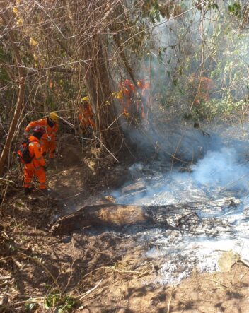 Bombeiros lutam contra incêndios em áreas rurais do sul de Minas