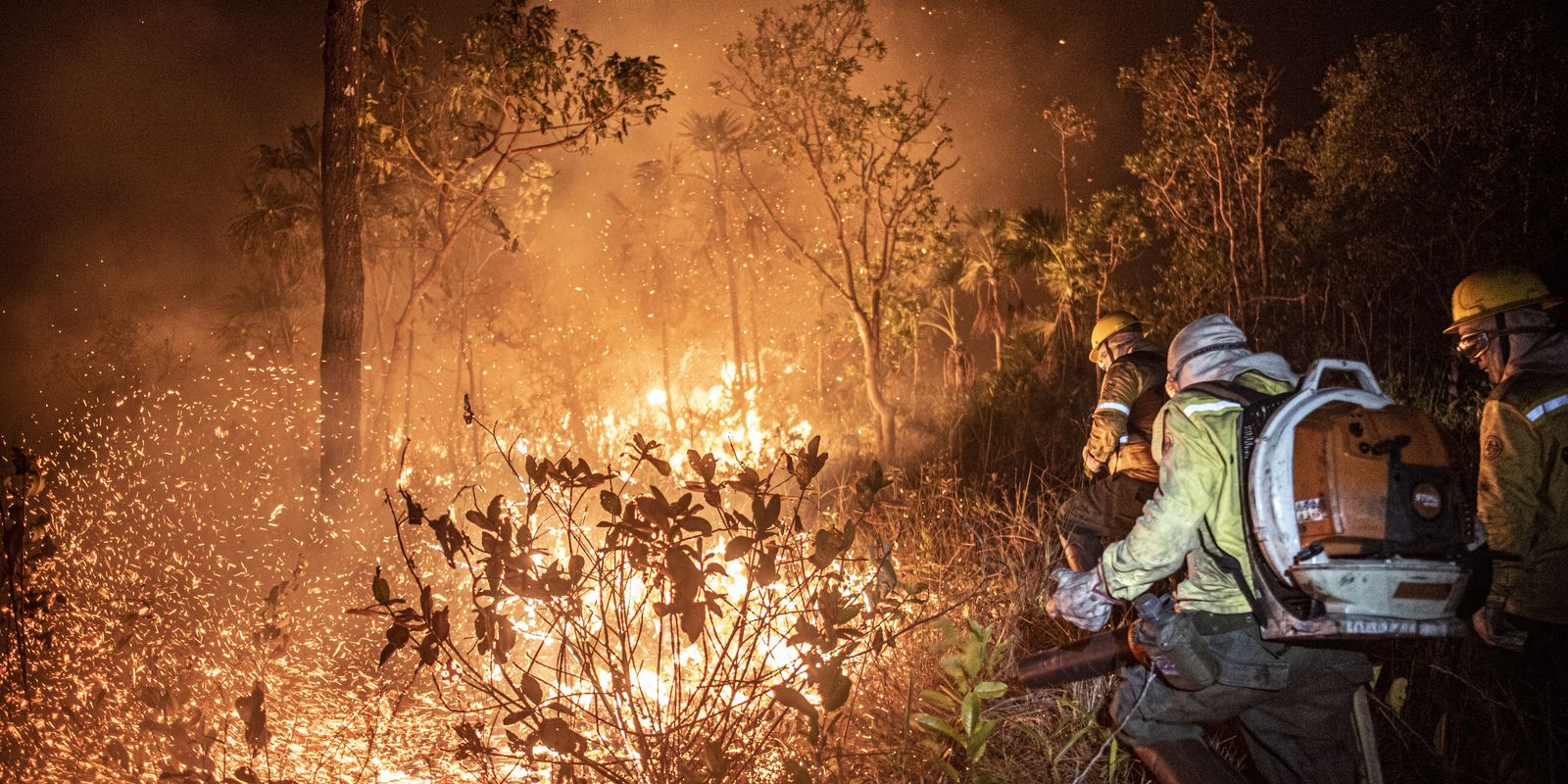 Manejo com fogo, contrafogo e queimada; entenda a diferença