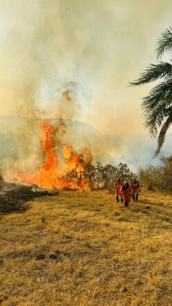 Bombeiros lutam contra incêndios em áreas rurais do sul de Minas