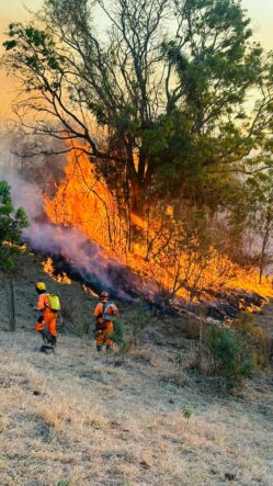 Bombeiros lutam contra incêndios em áreas rurais do sul de Minas