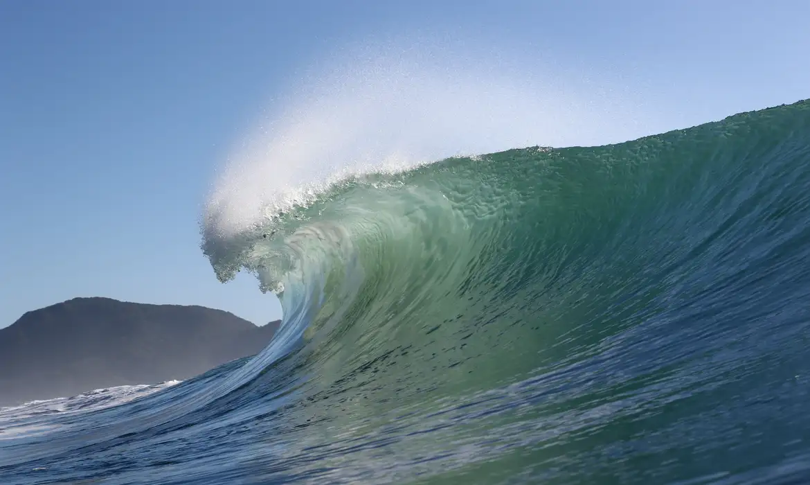 Duas praias do Sudeste são eleitas para se tornarem santuário do surfe 