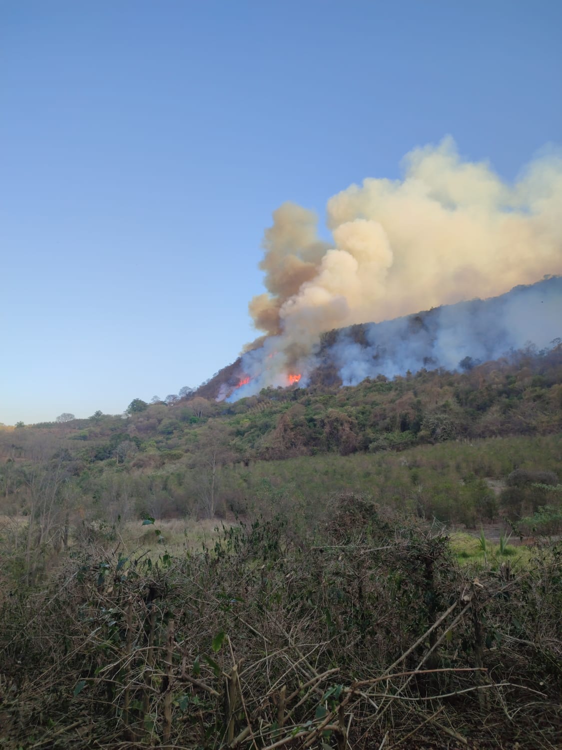 incêndio, serrania, fogo