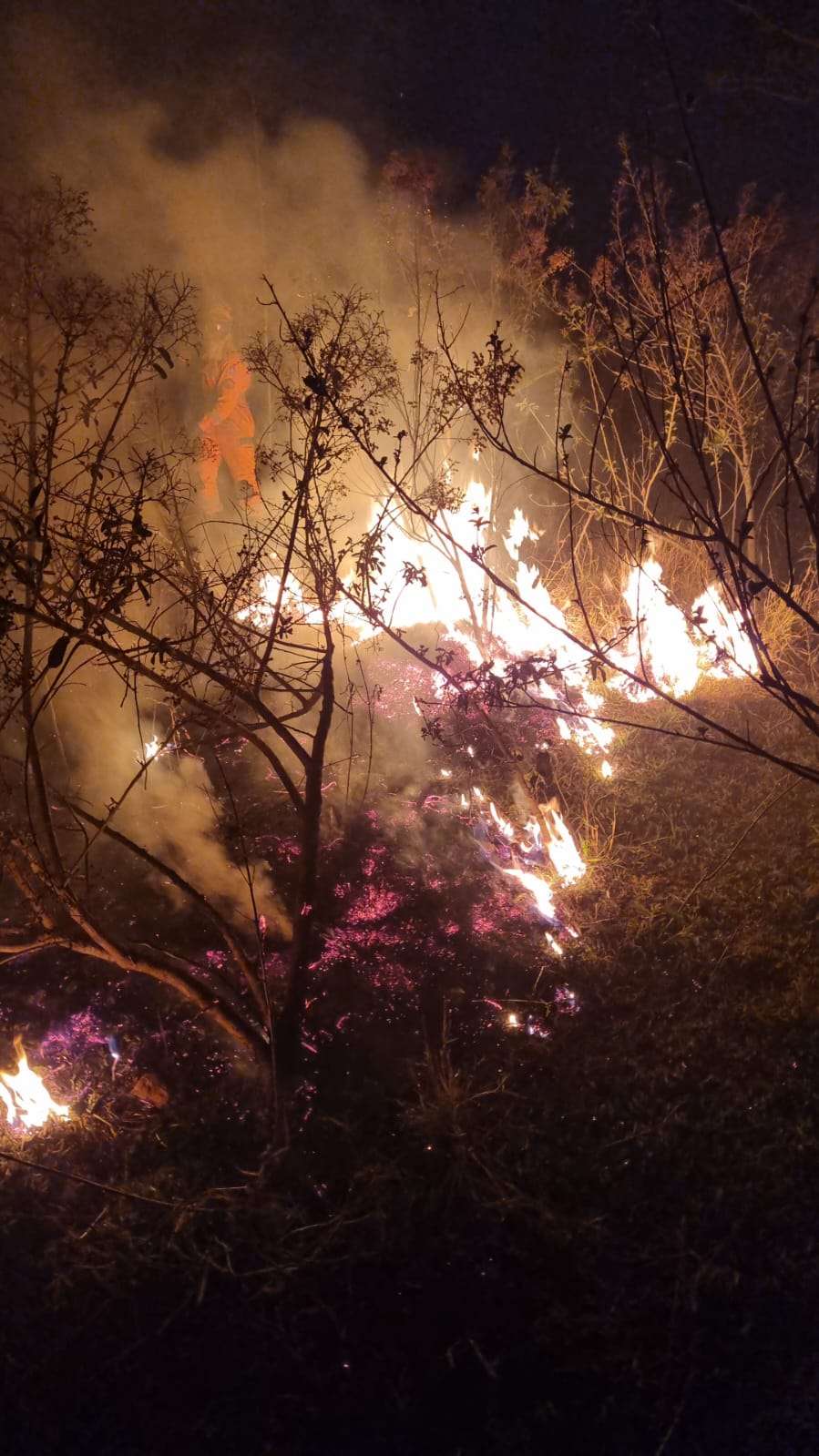 Bombeiros combatem incêndio em Andradas