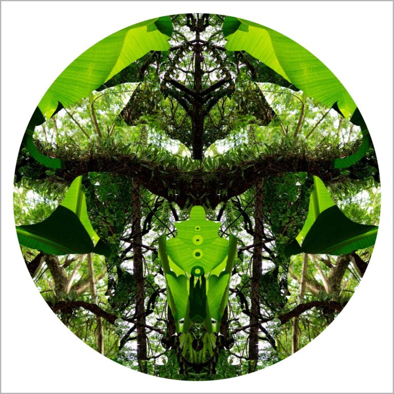 Exposição “Eco-mandala” abre o Circuito das Artes Visuais nesta quinta-feira